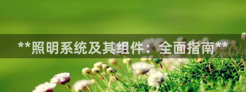 千亿国际登录网页:**照明系统及其组件:全面指南**