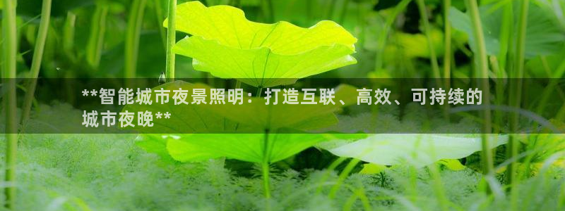 千亿国际pt游戏官网:**智能城市夜景照明:打造互联、高效、可持续的
城市夜晚**