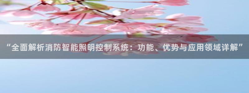 千亿国际平台还存在吗:“全面解析消防智能照明控制系统:功能、优势与应用领域详解”