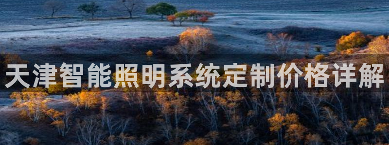 千亿国际登录网页：天津智能照明系统定制价格详解