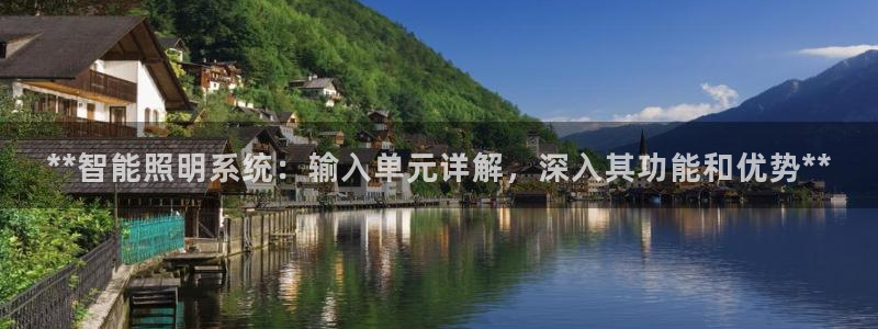 千亿国际入口:**智能照明系统:输入单元详解,深入其功能和优势**