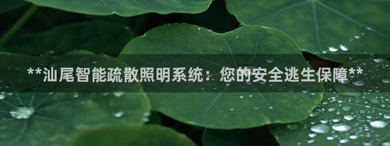 千亿国际手机版app下载安装：**汕尾智能疏散照明系统：您的安全逃生保障**