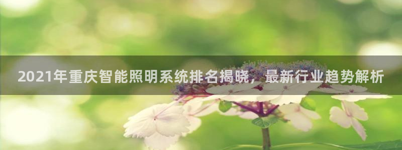 千亿国际手机版app下载安装:2021年重庆智能照明系统排名揭晓,最新行业趋势解析