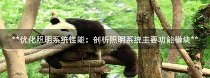 千亿国际打彩是真的吗知乎:**优化照明系统性能:剖析照明系统主要功能模块**