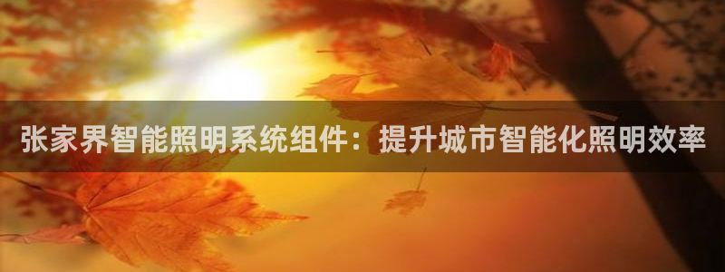 千亿国际官方网站入口在线观看：张家界智能照明系统组件：提升城市智能化照明效率